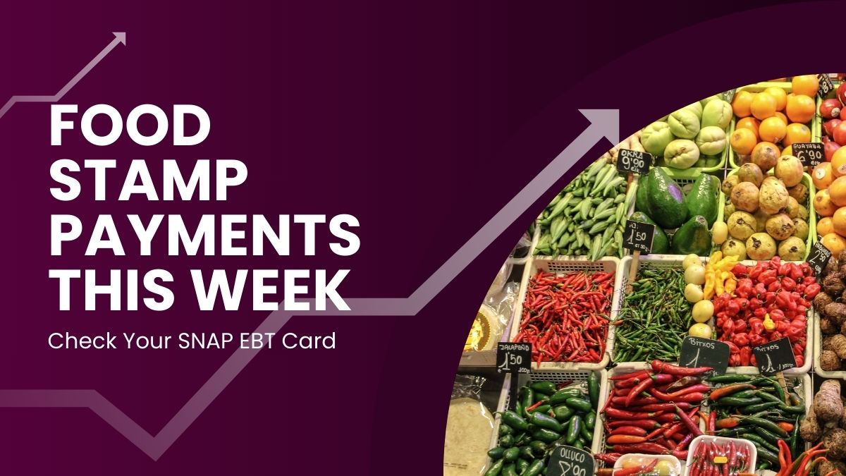 Food Stamp Payments This Week - Check Your SNAP EBT Card