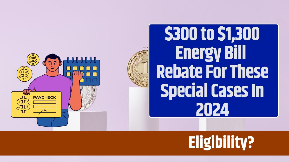 $300 to $1,300 Energy Bill Rebate For These Special Cases In 2024