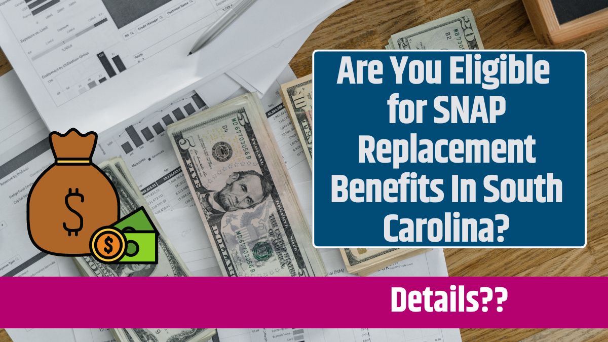 Are You Eligible for SNAP Replacement Benefits In South Carolina