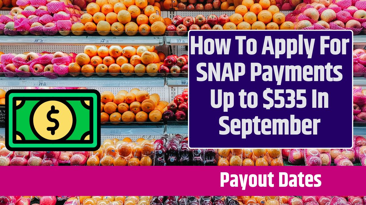 How To Apply For SNAP Payments Up to $535 In September