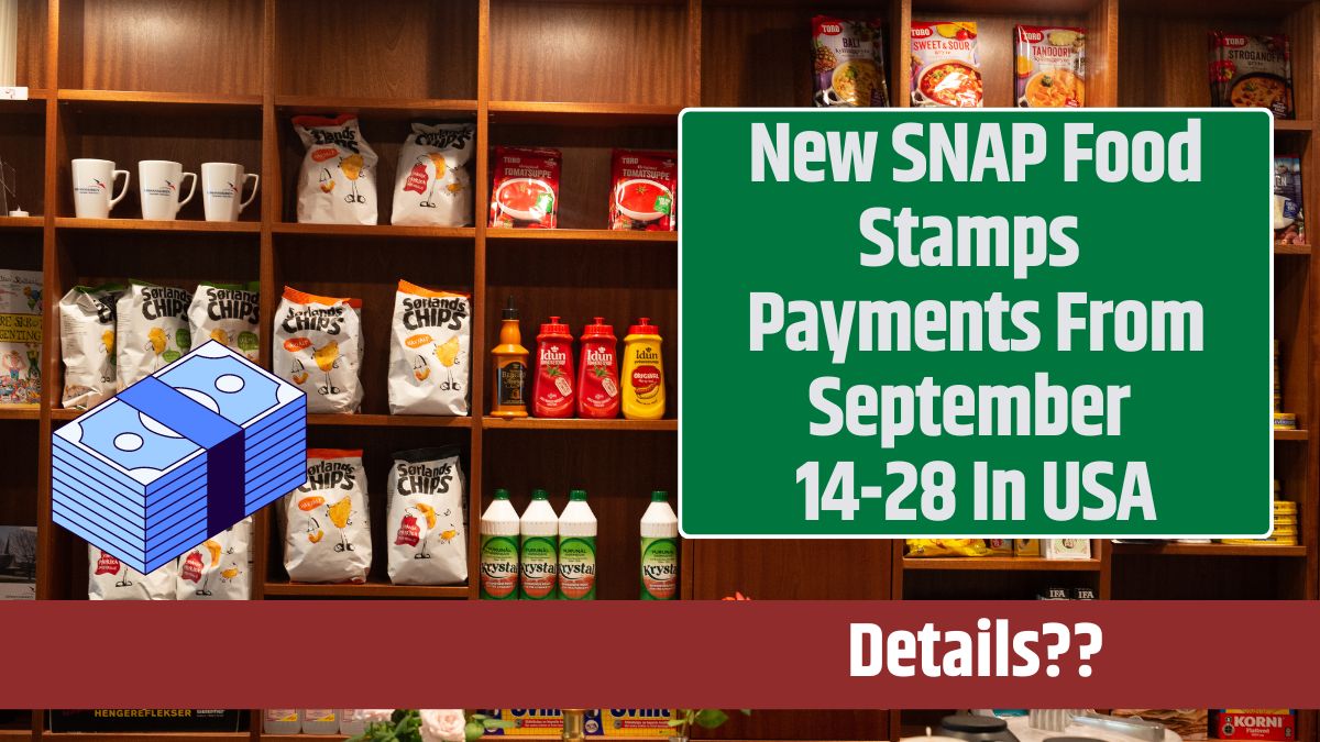 New SNAP Food Stamps Payments From September 14-28 In USA