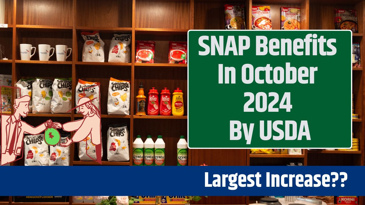 SNAP Benefits In October 2024 By USDA